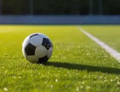 青岛市委常,委会举办,年民主生活,万博manbetx体育平台,万博体育官网,万博体育app下载,ManBetX,SPORTS