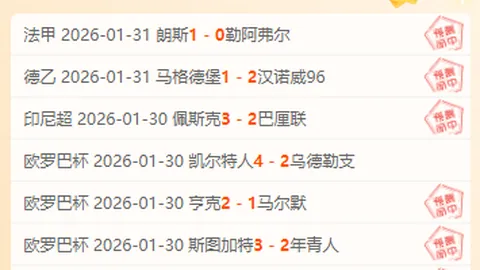 “2025赛季武汉三镇足球俱乐部主场门票发售通道即将启动”