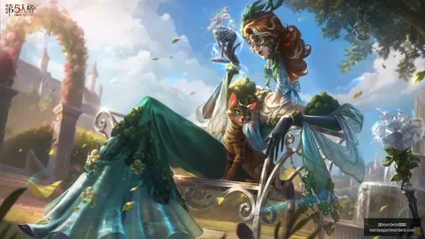 网石新游戏直播精华，神，SPORTS，级玩家服务器重置与商城选项调整攻略